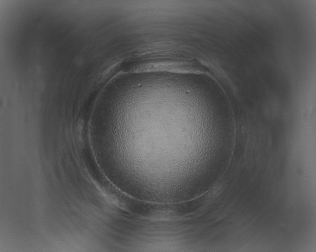 X0000051880066200506241424