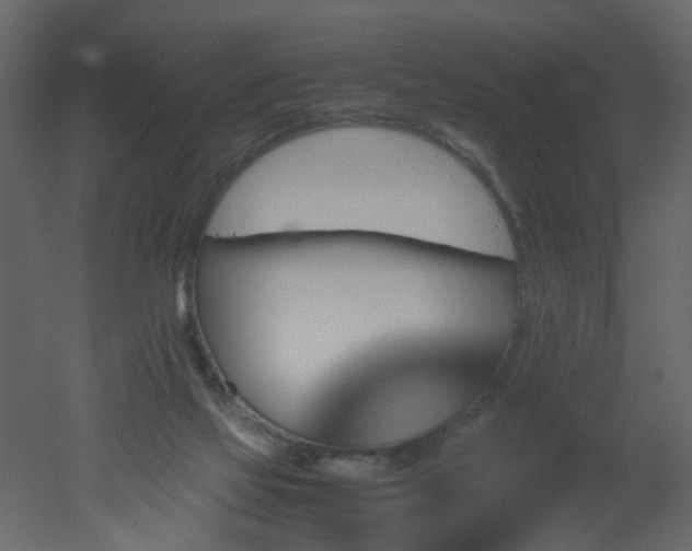 X0000051880069200506241424