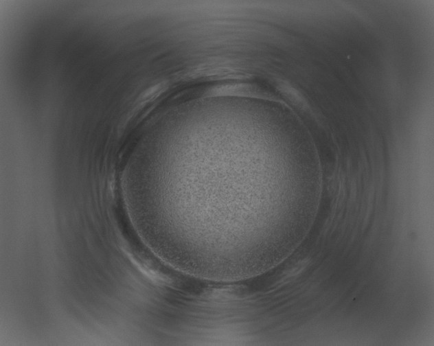 X0000051880072200506241424