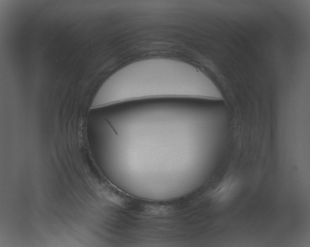 X0000051880073200506241424
