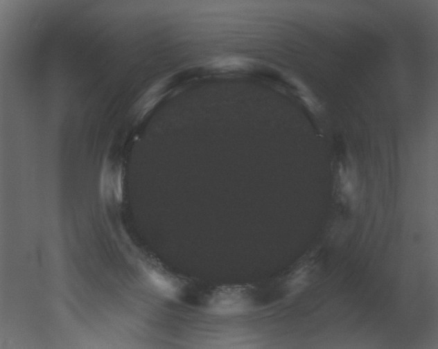 X0000051880076200506241424