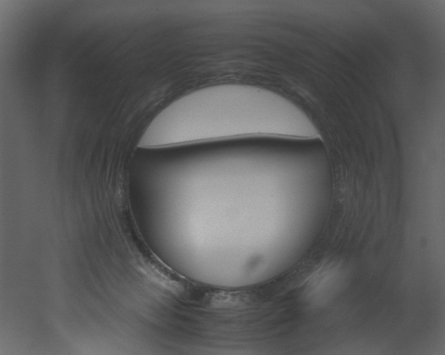 X0000051880077200506241424