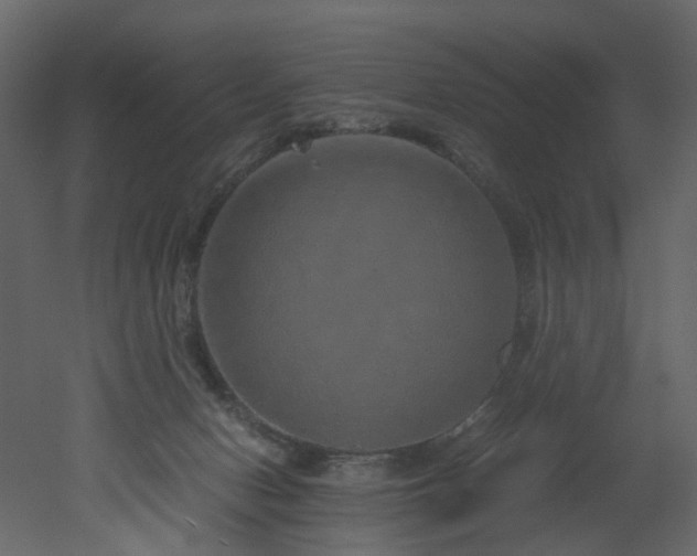 X0000051880078200506241424