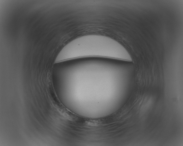 X0000051880079200506241424