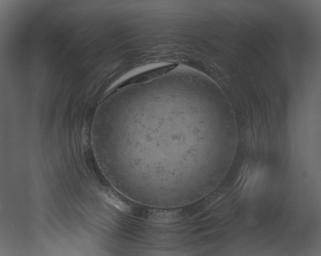 X0000051880081200506241425