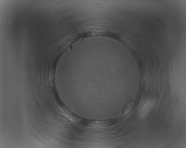 X0000051880082200506241425