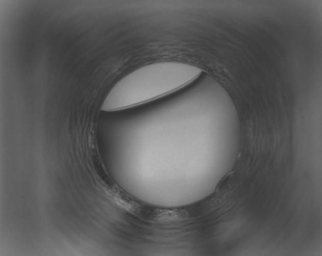 X0000051880083200506241425