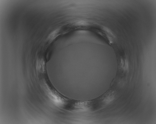 X0000051880084200506241425