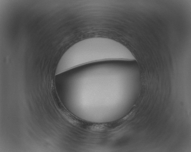 X0000051880086200506241425