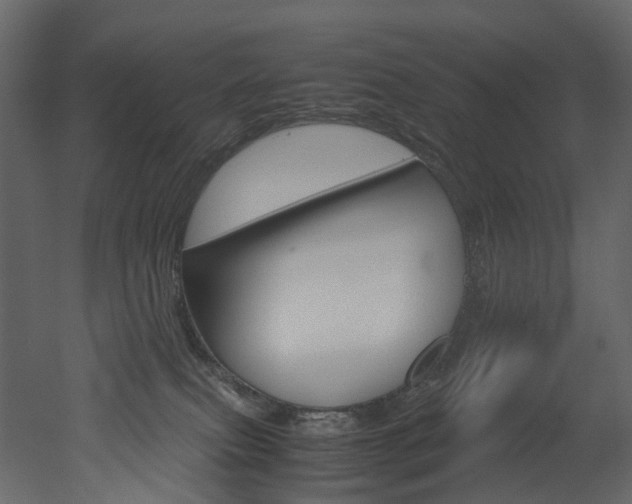 X0000051880087200506241425