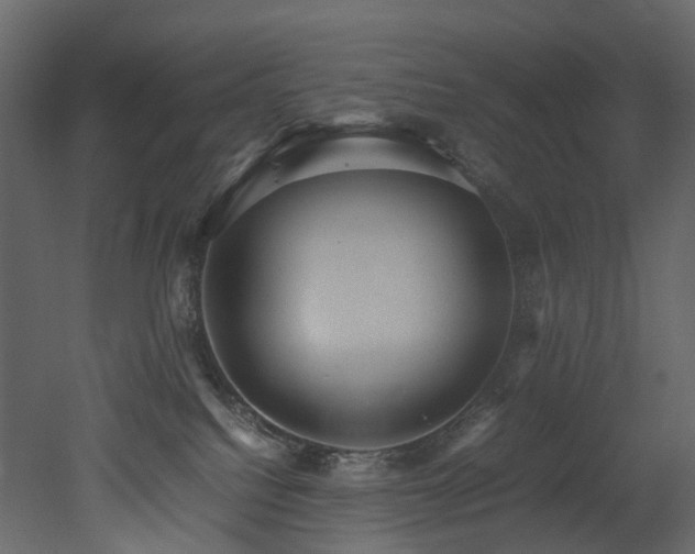 X0000051880088200506241425