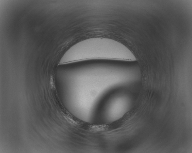 X0000051880089200506241425