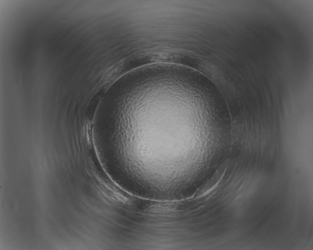 X0000051880094200506241425