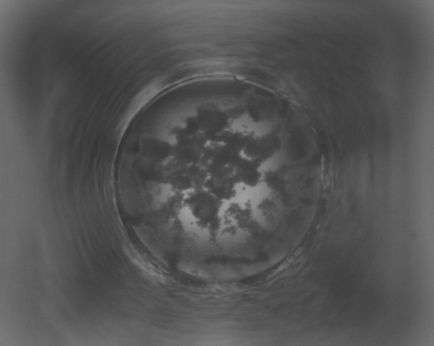 X0000051880099200506241424