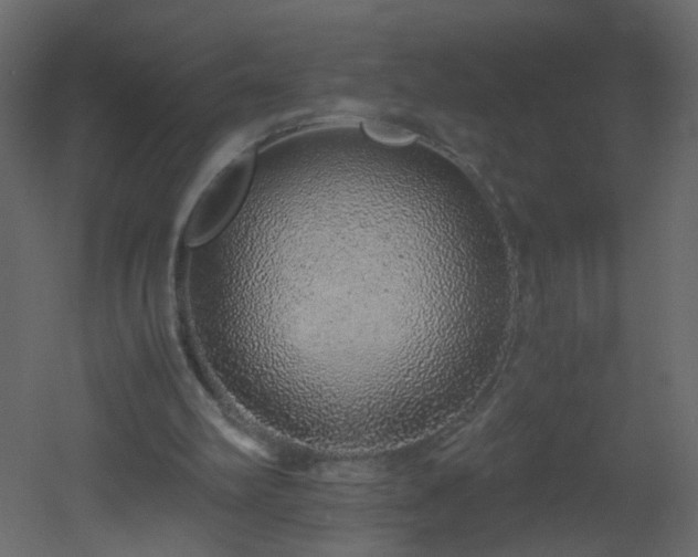 X0000051880102200506241424