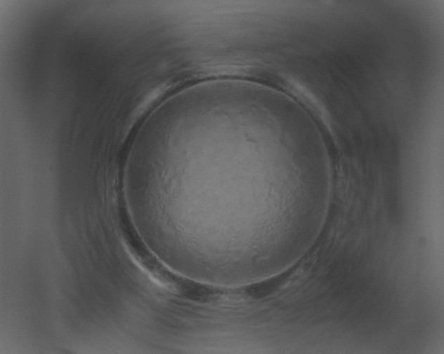 X0000051880107200506241424