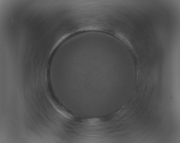 X0000051880108200506241424