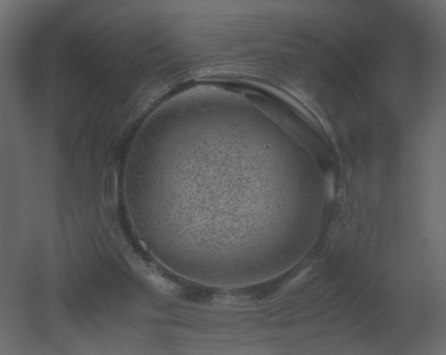 X0000051880109200506241424