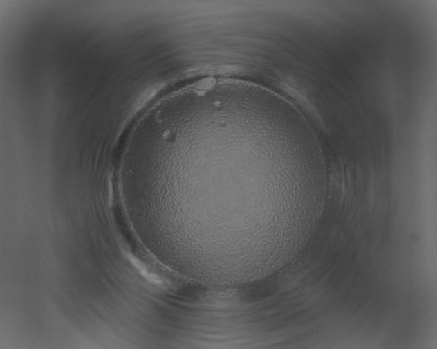 X0000051880110200506241424