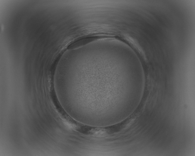 X0000051880113200506241424