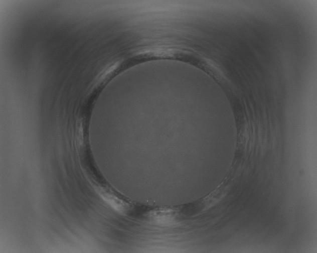 X0000051880120200506241424