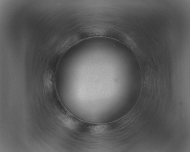 X0000051880122200506241424