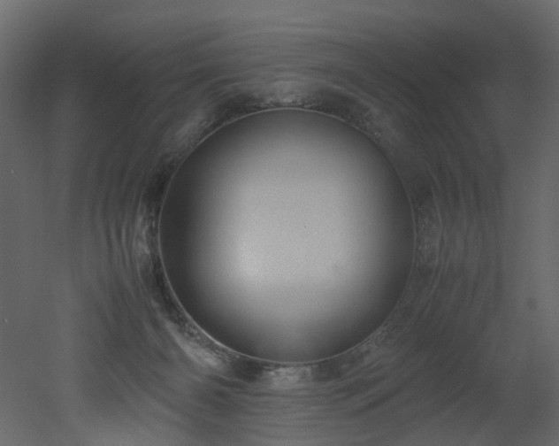 X0000051880126200506241423