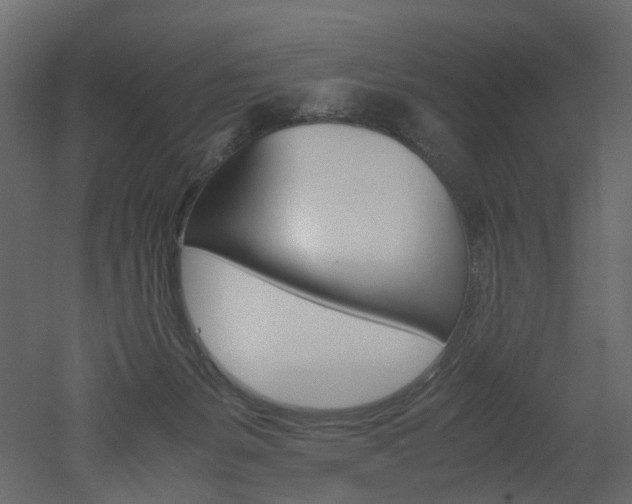 X0000051880127200506241423