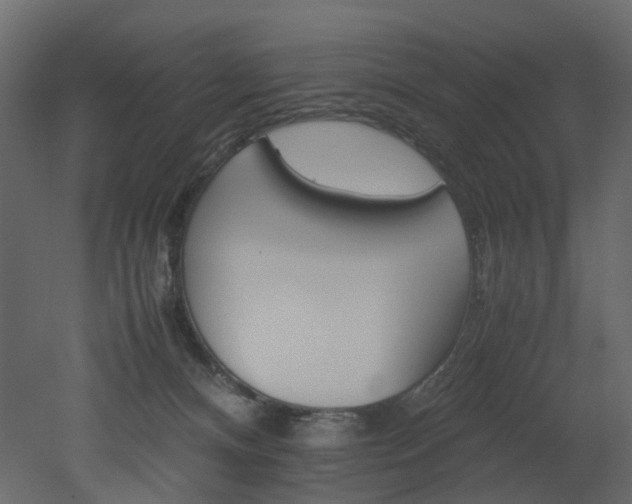 X0000051880128200506241423