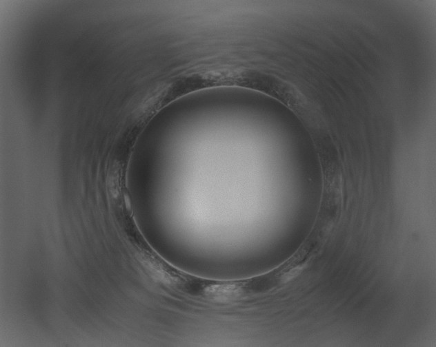 X0000051880133200506241423