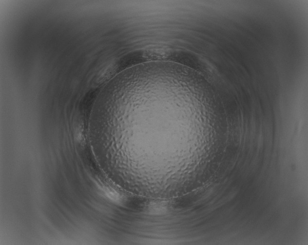 X0000051880134200506241423