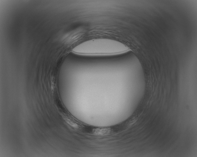 X0000051880135200506241423