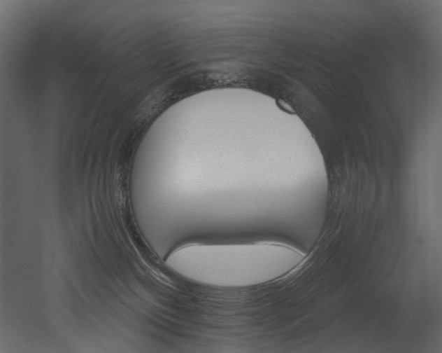 X0000051880136200506241423