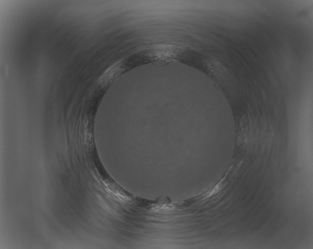 X0000051880140200506241423