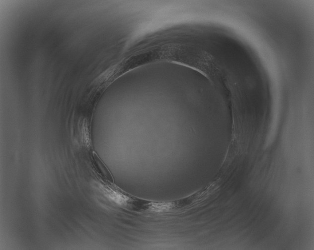 X0000051880143200506241423
