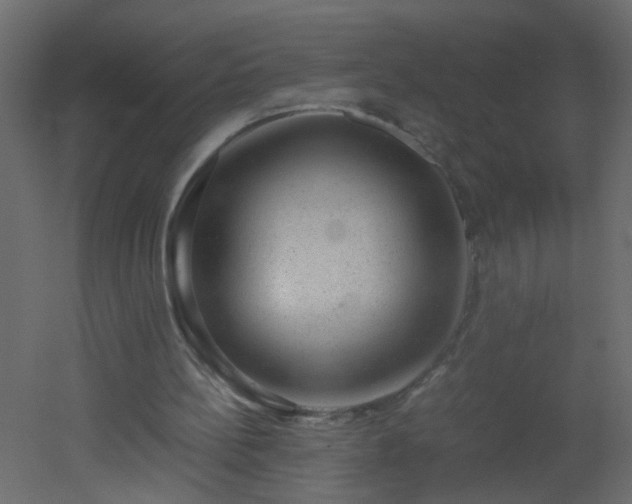 X0000051880148200506241422