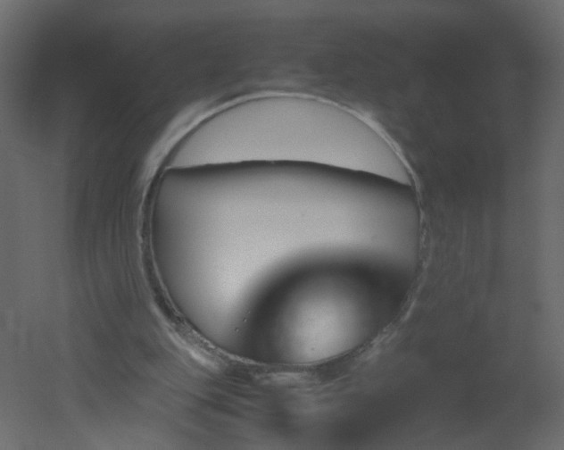 X0000051880151200506241422