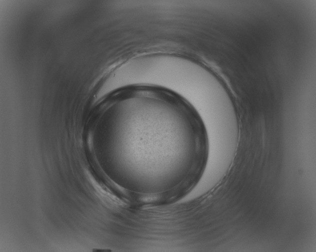 X0000051880154200506241422