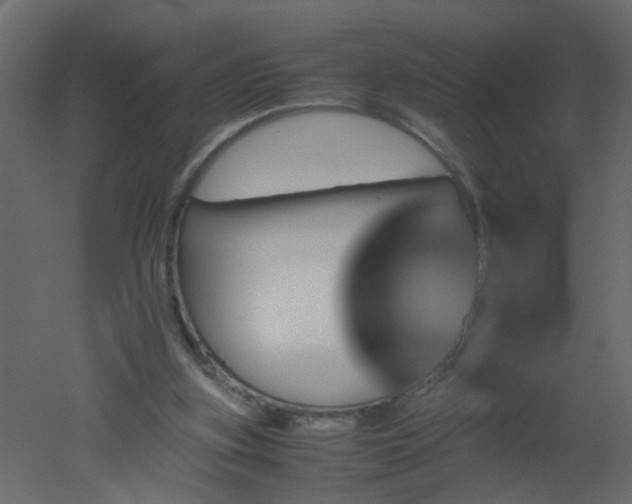 X0000051880155200506241423