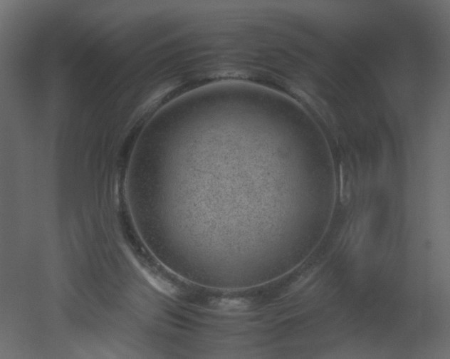 X0000051880157200506241423