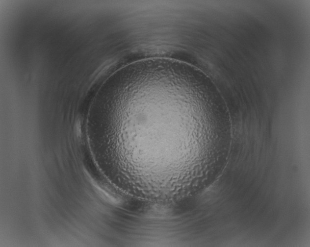X0000051880166200506241423