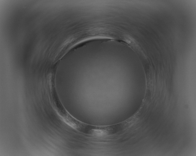 X0000051880167200506241423