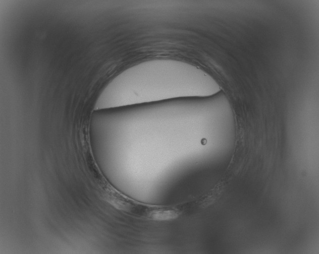 X0000051880169200506241423