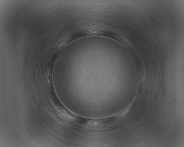 X0000051880174200506241423