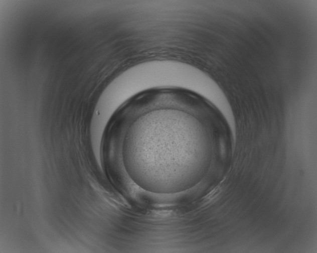 X0000051880176200506241423