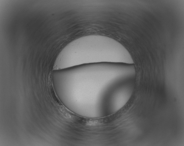 X0000051880177200506241423
