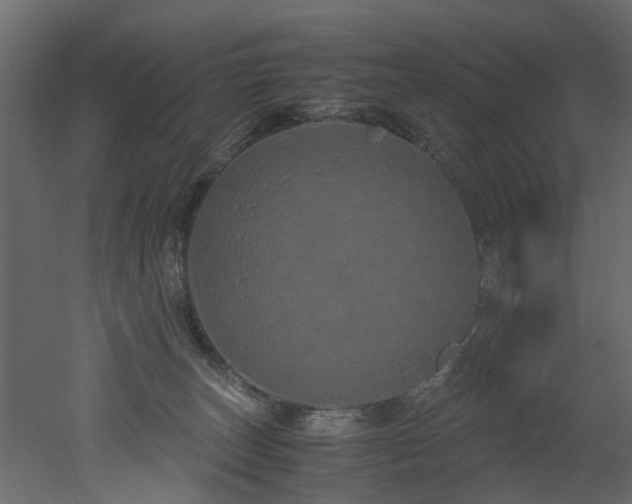 X0000051880179200506241423