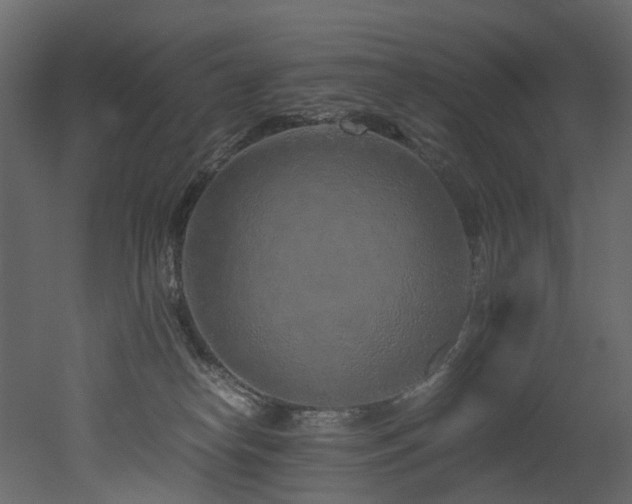 X0000051880182200506241423