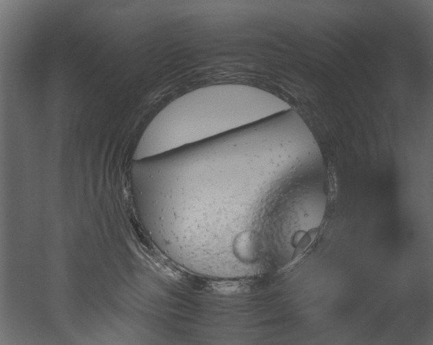 X0000051880187200506241423
