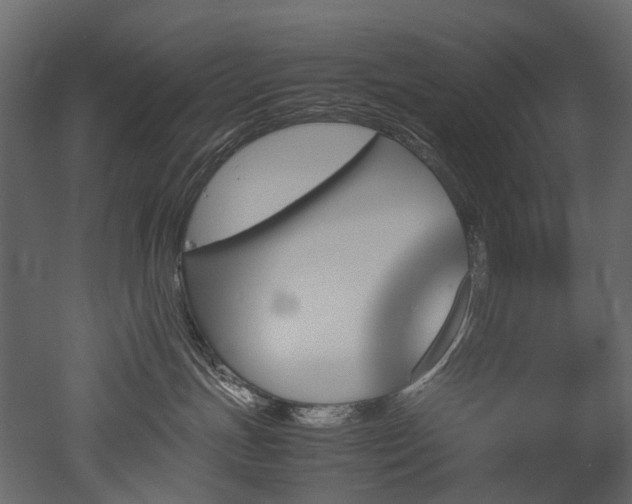 X0000051880191200506241423